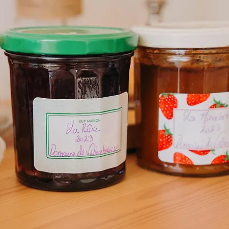 Logis De Vallombronze *