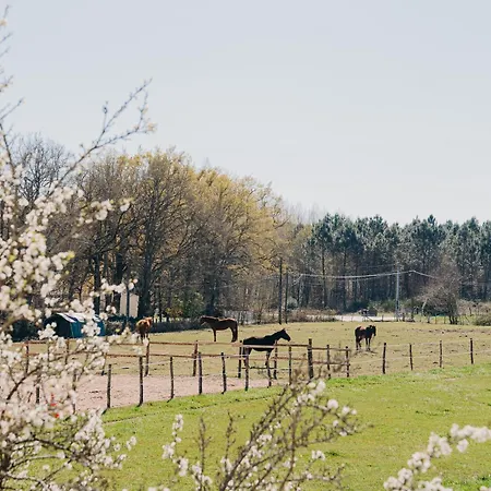 Logis De Vallombronze Panzió Clérac